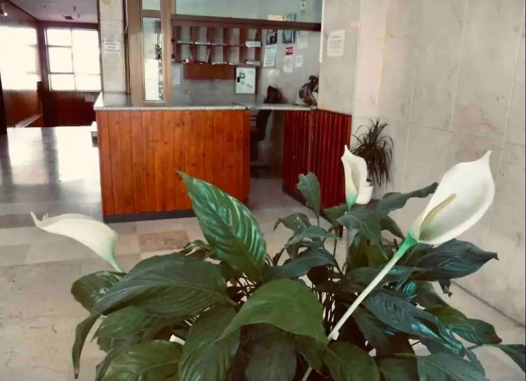 La Posada Del Viajero Apartment Torremolinos Spain